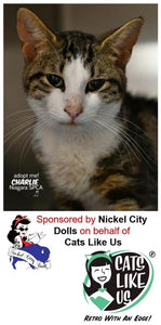 CLU Joins with Nickel City Dolls to sponsor a Cage At SPCA!