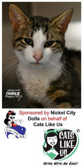 CLU Joins with Nickel City Dolls to sponsor a Cage At SPCA!