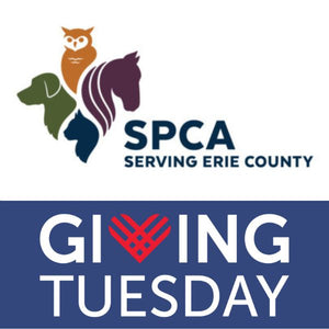 CLU gives to SPCA for Giving Tuesday!