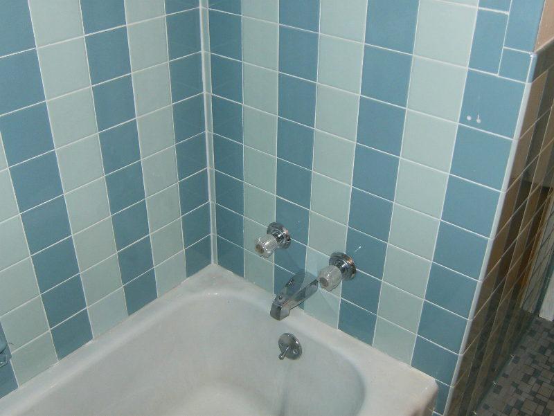 Save the Blue Bathroom : Part 1