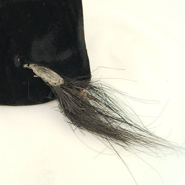 1950s Black Velvet Feather Cats Like Us