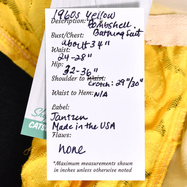 1960s Vintage Bombshell Bathing Suit Cats Like Us