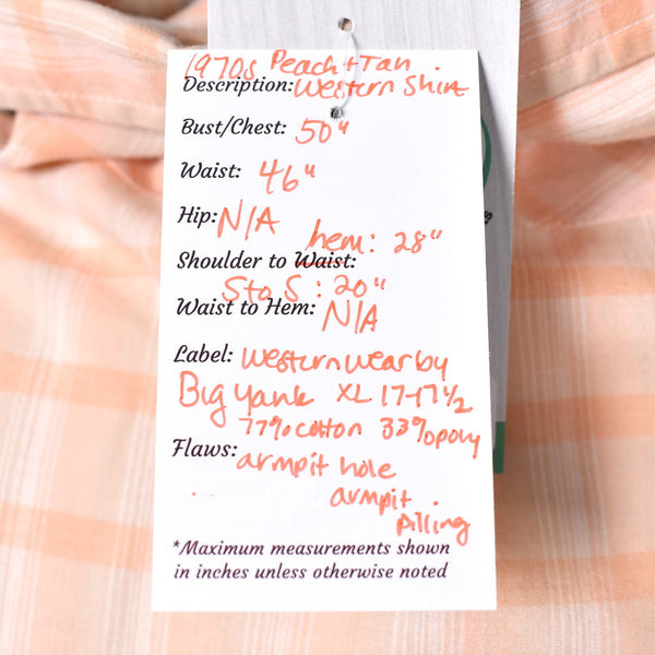 1970s Vintage Tan & Peach Western Shirt Cats Like Us