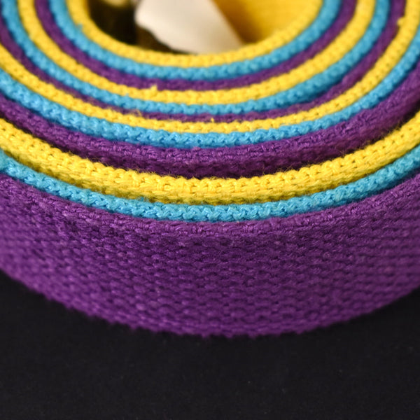 1980s Sky Blue Adjustable Belt w Gold Slide Closure Cats Like Us