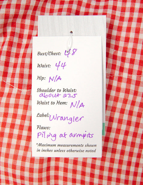 80s does 1950s Gingham Shirt Cats Like Us