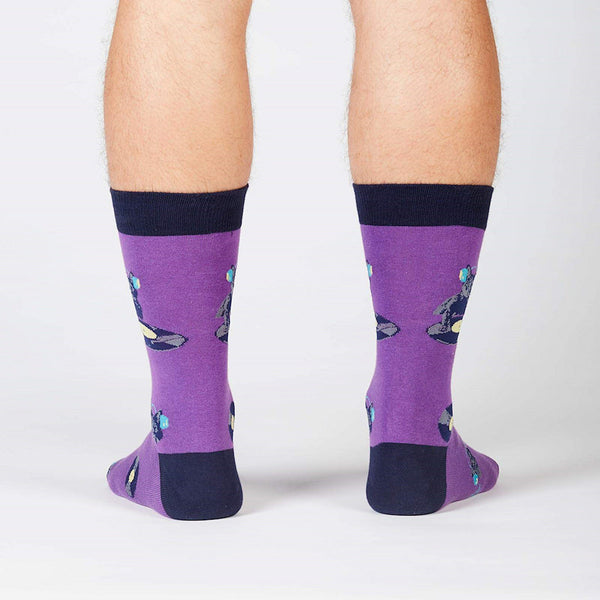 Cat Scratch DJ Crew Socks Cats Like Us