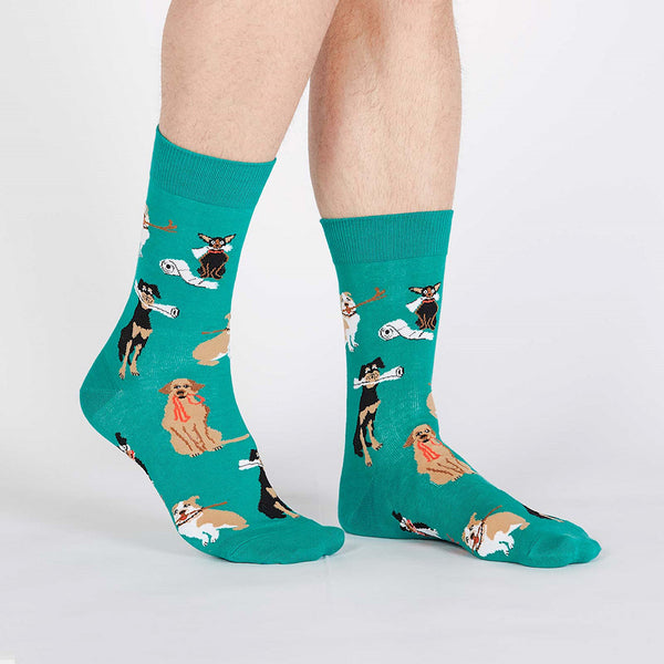 Chew on This Doggo Socks Cats Like Us