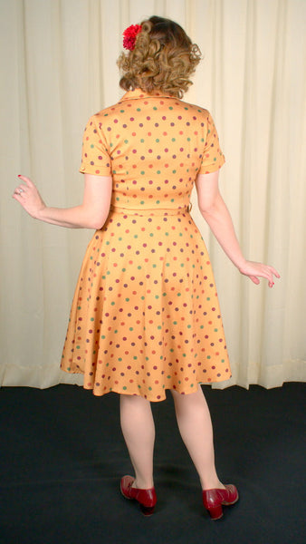 Diana Polka Dot Shirt Dress Cats Like Us