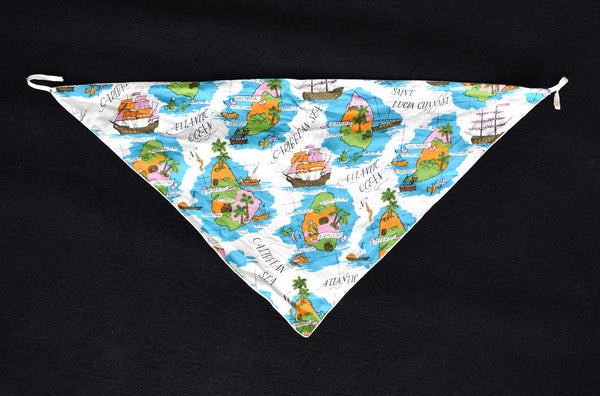 Islands & Waterways Hair Scarf Cats Like Us