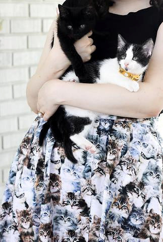 Real Meow Meow Cat Skirt Cats Like Us