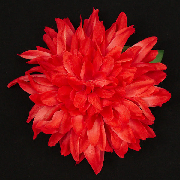 Red Dahlia Hair Flower Cats Like Us