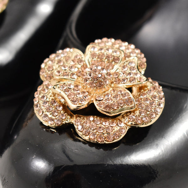 Rose Gold Rhinestone Shoe Clips Cats Like Us