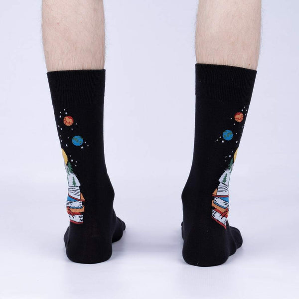 Take a Look, in a Book Socks Cats Like Us