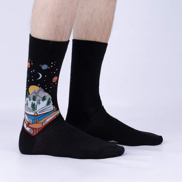 Take a Look, in a Book Socks Cats Like Us