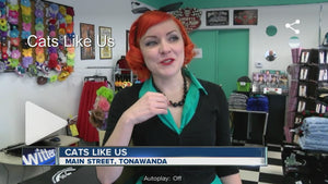 WIVB Interview Featuring Cats Like Us on News Channel 7