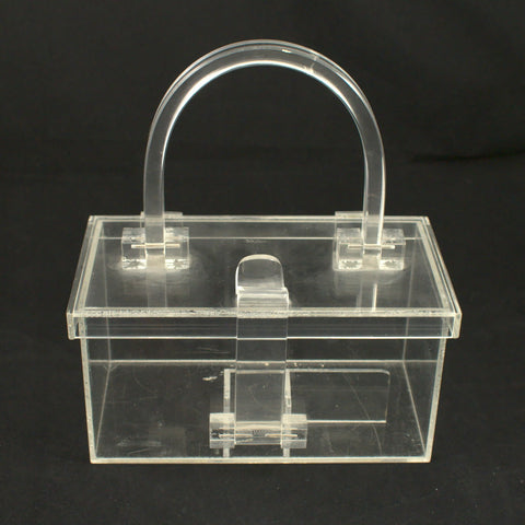 1960s Clear Plastic Box Handbag Cats Like Us