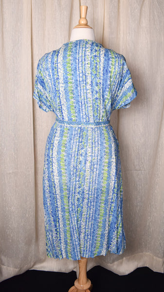 NWOT 1950s Blue Floral Stripe Button Down Dress