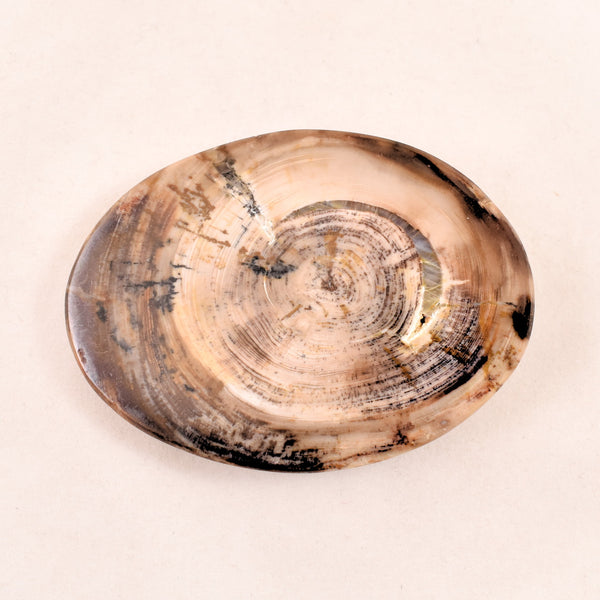 1960s Petrified Wood Hippie Belt Buckle