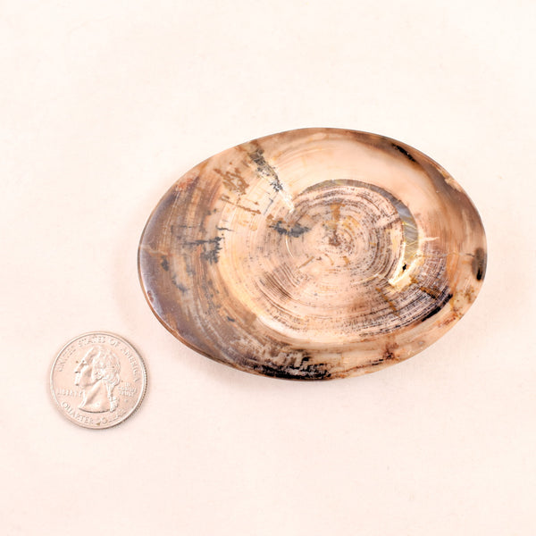 1960s Petrified Wood Hippie Belt Buckle