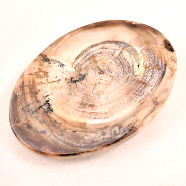 1960s Petrified Wood Hippie Belt Buckle