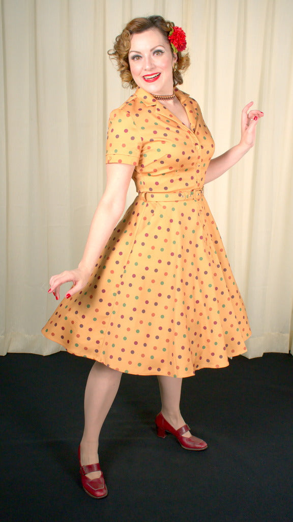 Diana Polka Dot Shirt Dress - Main Image