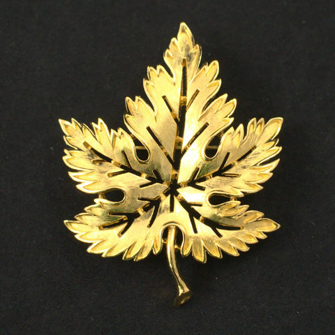 Gold Maple Leaf Brooch Cats Like Us