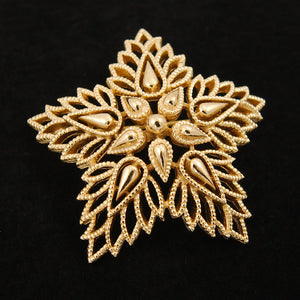 Gold Star Brooch Cats Like Us