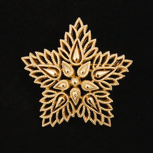 Gold Star Brooch Cats Like Us