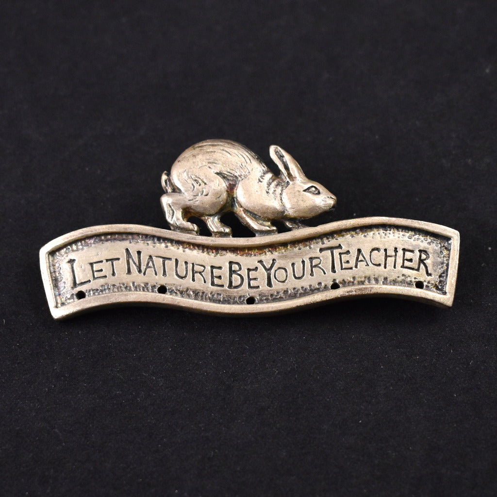 Let Nature Be Your Teacher Pin Cats Like Us