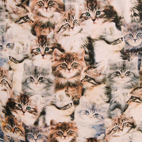 Real Meow Meow Cat Skirt Cats Like Us