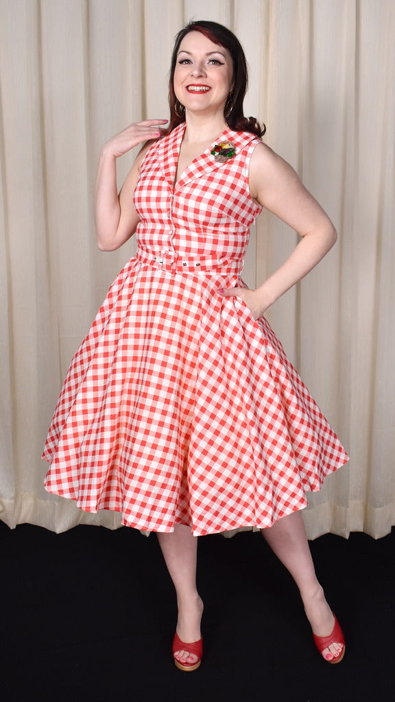 Red Gingham Jani Shirt Dress Red & White / SM