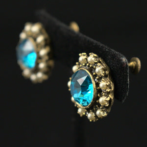Sky Blue Rhinestone Vintage Earrings Cats Like Us